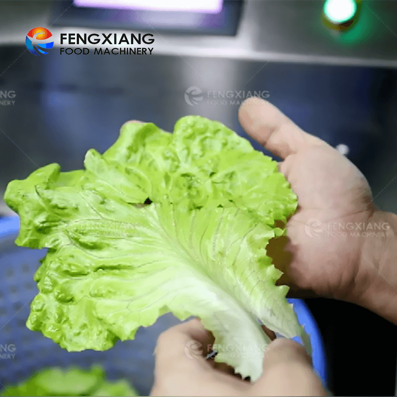 Fengxiang FZHS-15 Comercial Desidratador de Vegetais Máquina Secadora de Desaguamento de Salada