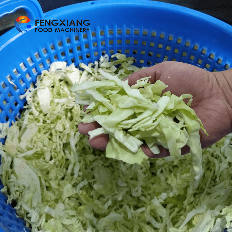 Fengxiang FZHS-15 Comercial Desidratador de Vegetais Máquina Secadora de Desaguamento de Salada